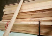 Gỗ ép công nghiệp nhập khẩu có phải kiểm dịch thực vật?