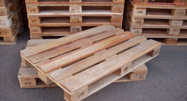 Sự kiện ngành gỗ và pallet Việt Nam: Những điều nổi bật