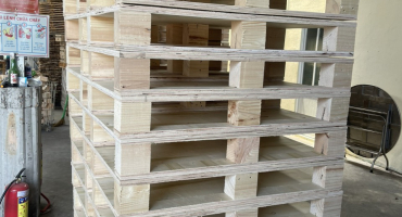 Quy định và chính sách xuất khẩu pallet gỗ