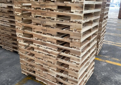 Cung cấp pallet Bình Dương