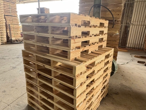 Pallet gỗ Bình Dương