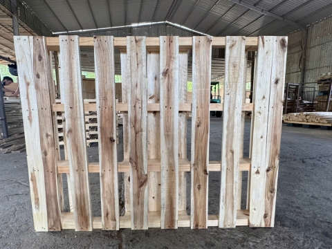 Pallet gỗ Chơn Thành