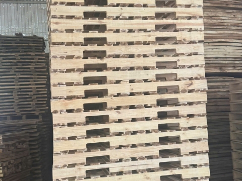 Pallet gỗ Tân Uyên