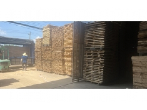 Xưởng đóng pallet tân uyên