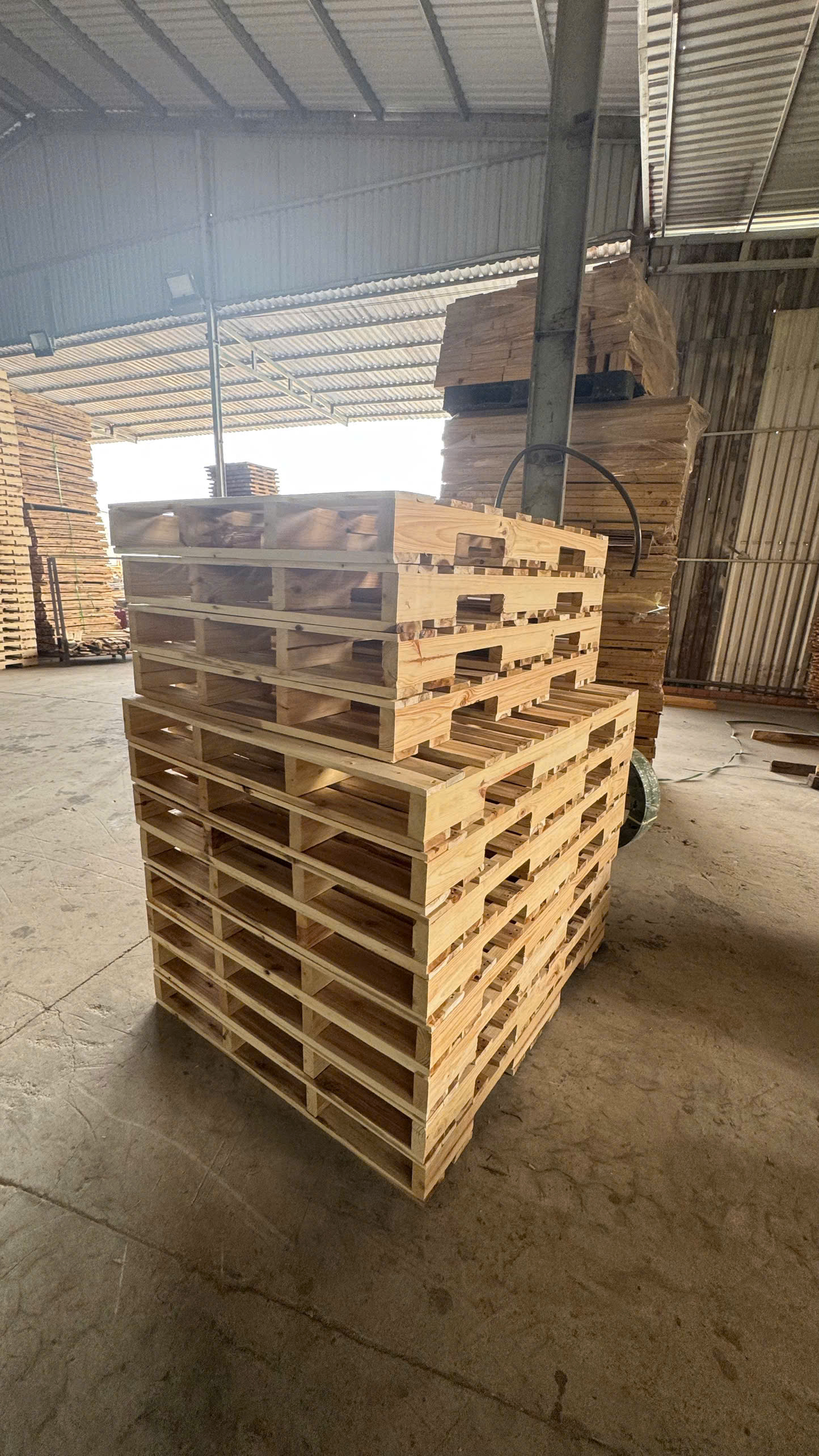 mua ban pallet go gia re binh duong