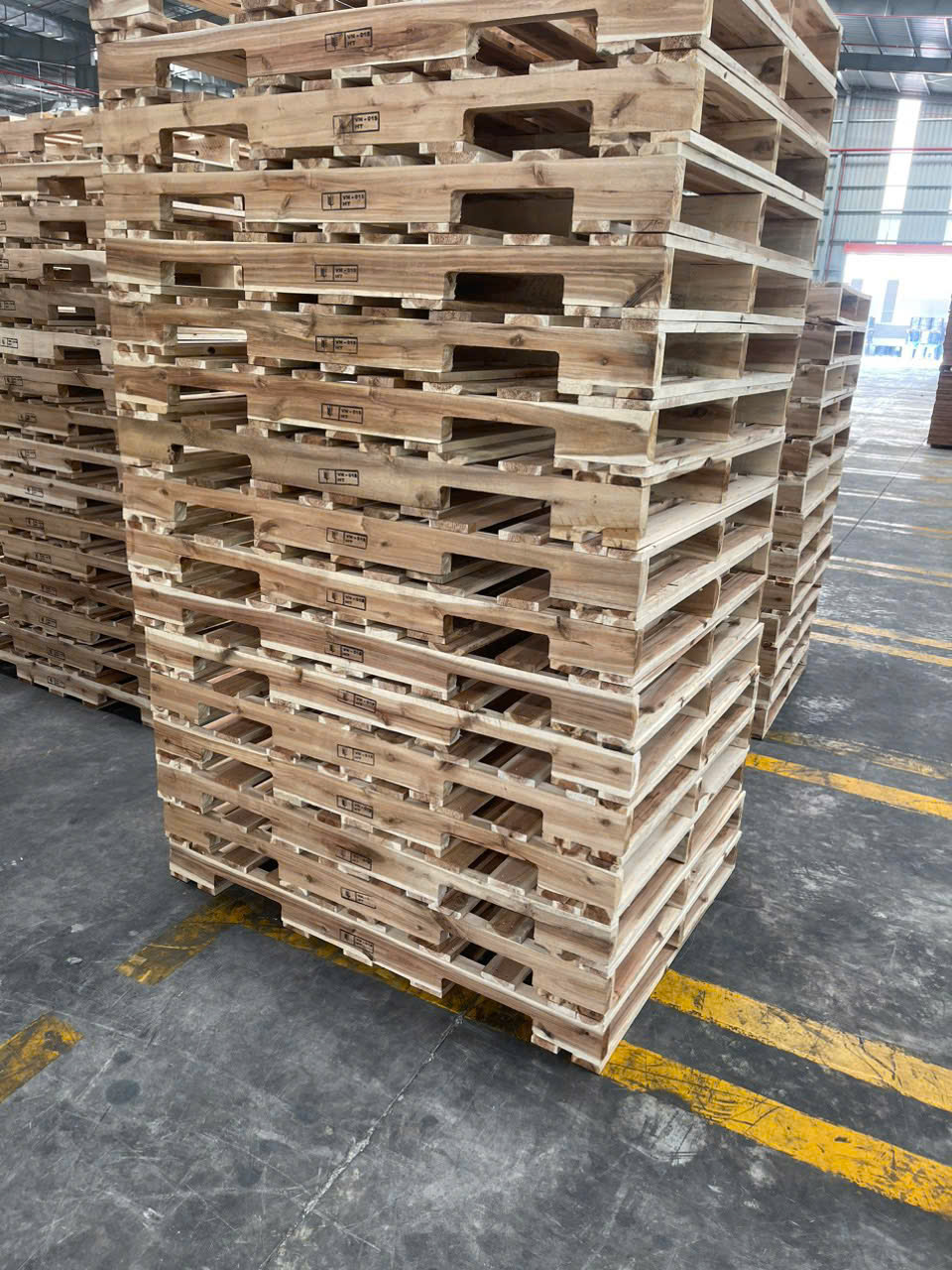 pallet ngoc cuong